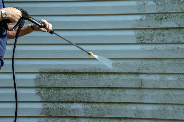 Best Exterior Home Cleaning  in Lake Wynonah, PA
