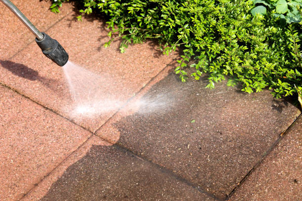 Best Power Washing Near Me  in Lake Wynonah, PA
